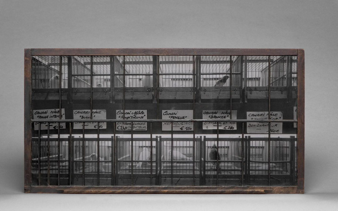 Assemblages