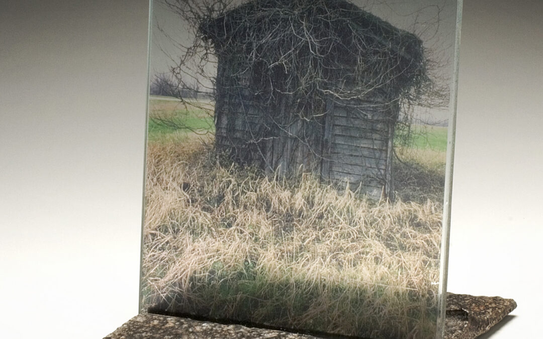HairyHouse