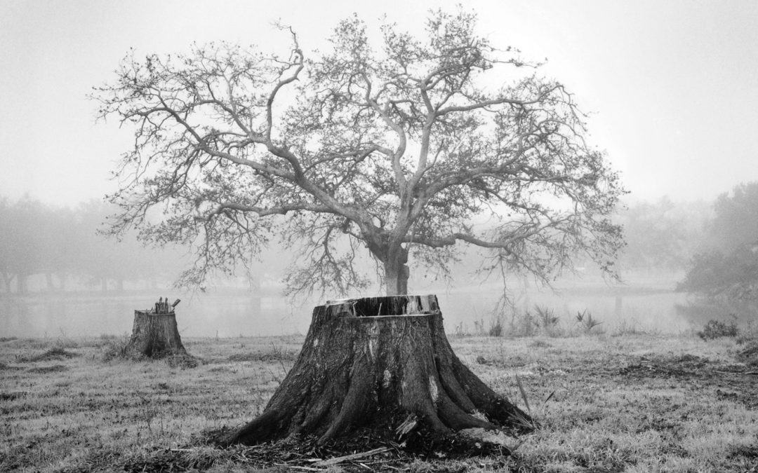Fragile Land