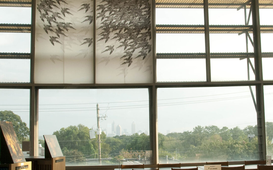 Passenger pigeon, Atlanta, Georgia