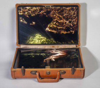 AA briefcase with the painting