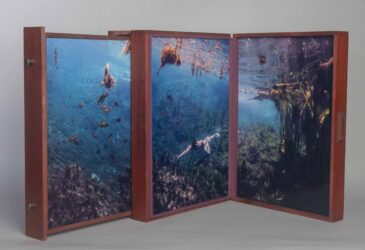 Collection of three images
